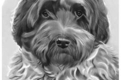 Hondje Germ en Tietsje