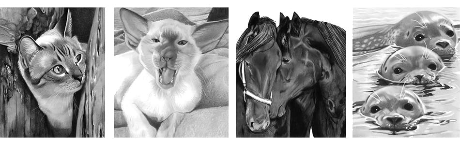 Dieren
