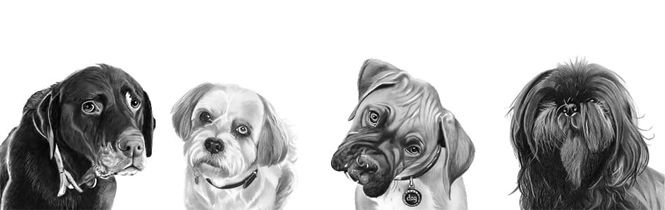 Hondjes